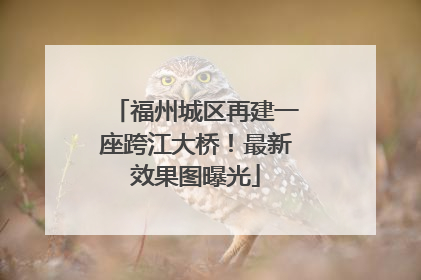 福州城区再建一座跨江大桥！最新效果图曝光