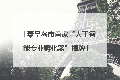 秦皇岛市首家“人工智能专业孵化器”揭牌