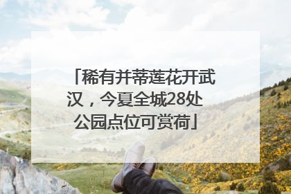 稀有并蒂莲花开武汉，今夏全城28处公园点位可赏荷