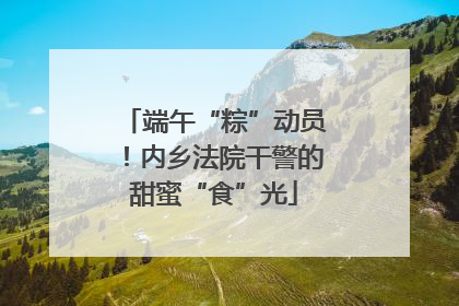 端午“粽”动员！内乡法院干警的甜蜜“食”光
