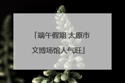 端午假期 太原市文博场馆人气旺