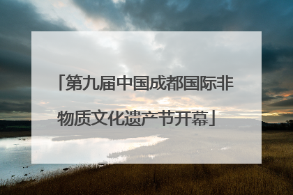第九届中国成都国际非物质文化遗产节开幕