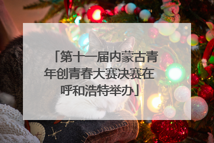 第十一届内蒙古青年创青春大赛决赛在呼和浩特举办