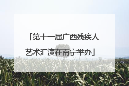 第十一届广西残疾人艺术汇演在南宁举办