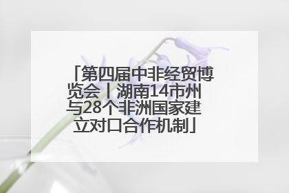 第四届中非经贸博览会丨湖南14市州与28个非洲国家建立对口合作机制