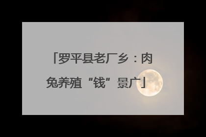 罗平县老厂乡：肉兔养殖“钱”景广