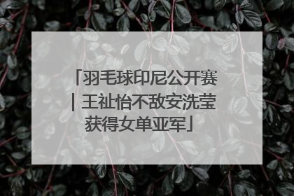 羽毛球印尼公开赛｜王祉怡不敌安洗莹 获得女单亚军