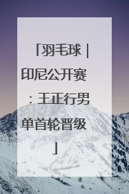 羽毛球｜印尼公开赛：王正行男单首轮晋级