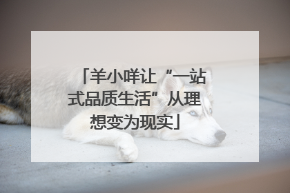 羊小咩让“一站式品质生活”从理想变为现实