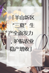 羊山新区“三夏”生产全面发力，护航农业稳产增收