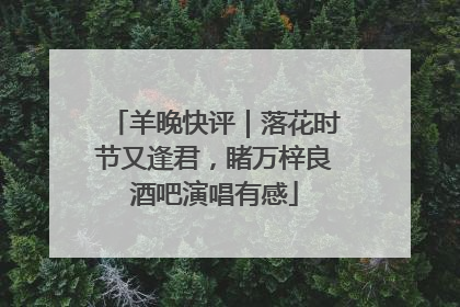 羊晚快评｜落花时节又逢君，睹万梓良酒吧演唱有感