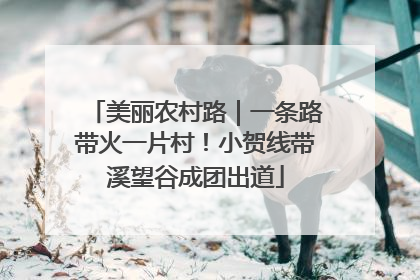 美丽农村路｜一条路带火一片村！小贺线带溪望谷成团出道
