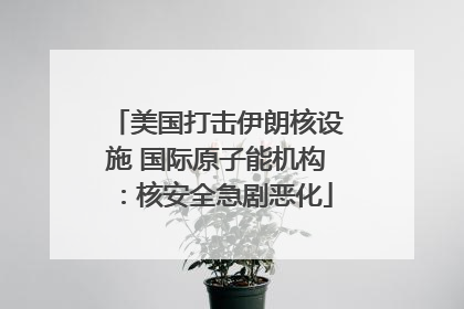 美国打击伊朗核设施 国际原子能机构：核安全急剧恶化