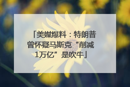 美媒爆料：特朗普曾怀疑马斯克“削减1万亿”是吹牛