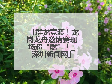 群龙竞渡！龙岗龙舟邀请赛现场超“燃”！_深圳新闻网