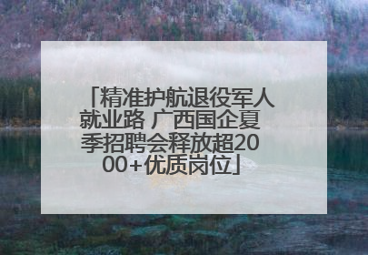 精准护航退役军人就业路 广西国企夏季招聘会释放超2000+优质岗位