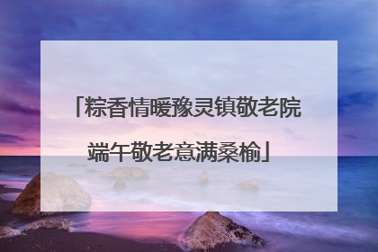 粽香情暖豫灵镇敬老院 端午敬老意满桑榆