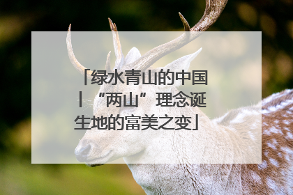 绿水青山的中国丨“两山”理念诞生地的富美之变