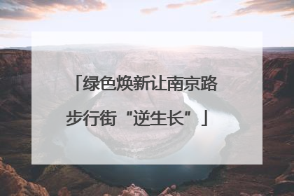 绿色焕新让南京路步行街“逆生长”