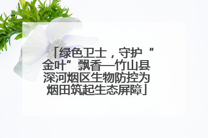 绿色卫士，守护“金叶”飘香—竹山县深河烟区生物防控为烟田筑起生态屏障