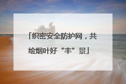 织密安全防护网，共绘烟叶好“丰”景