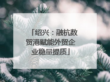 绍兴：融杭数贸港赋能外贸企业稳量提质