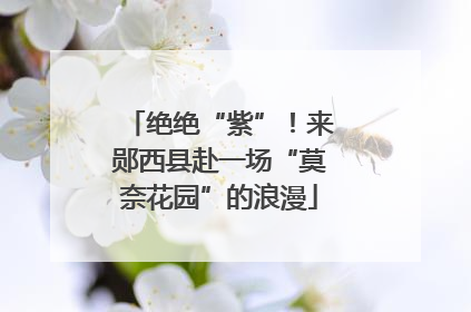 绝绝“紫”！来郧西县赴一场“莫奈花园”的浪漫
