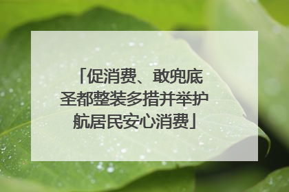 促消费、敢兜底 圣都整装多措并举护航居民安心消费