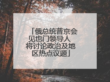 俄总统普京会见也门领导人 将讨论政治及地区热点议题