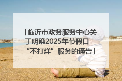 临沂市政务服务中心关于明确2025年节假日“不打烊”服务的通告