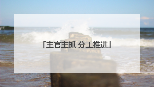 主官主抓 分工推进