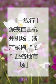 一线行丨深夜直击杭州机场，浙产杨梅“飞”赴各地市场