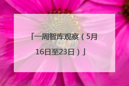 一周智库观察（5月16日至23日）