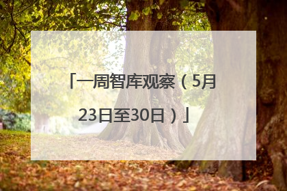 一周智库观察（5月23日至30日）