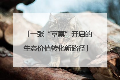 一张“草票”开启的生态价值转化新路径