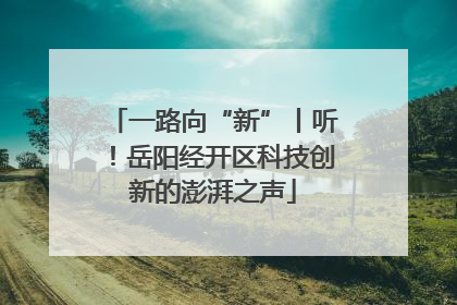 一路向“新”丨听！岳阳经开区科技创新的澎湃之声