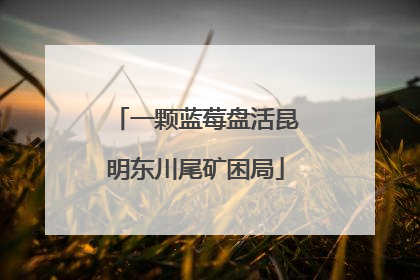 一颗蓝莓盘活昆明东川尾矿困局