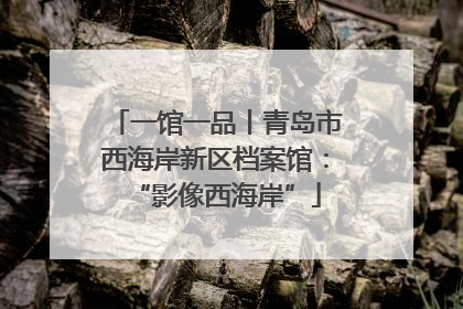 一馆一品丨青岛市西海岸新区档案馆：“影像西海岸”