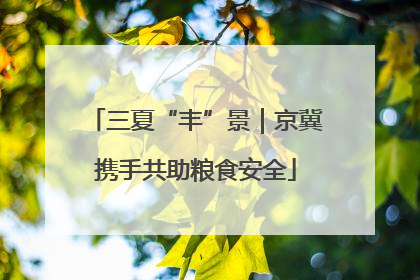 三夏“丰”景｜京冀携手共助粮食安全