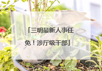 三明最新人事任免！涉厅级干部