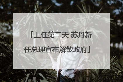 上任第二天 苏丹新任总理宣布解散政府