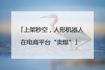 上架秒空，人形机器人在电商平台“卖爆”