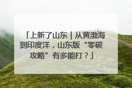 上新了山东｜从黄渤海到印度洋，山东版“零碳攻略”有多能打？
