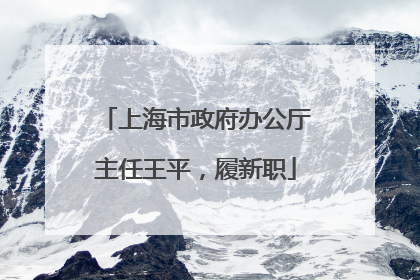 上海市政府办公厅主任王平，履新职