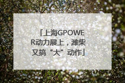 上海GPOWER动力展上，潍柴又搞“大”动作