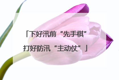 下好汛前“先手棋” 打好防汛“主动仗”
