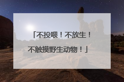 不投喂！不放生！不触摸野生动物！