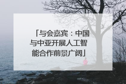 与会嘉宾：中国与中亚开展人工智能合作前景广阔