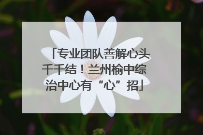 专业团队善解心头千千结！兰州榆中综治中心有“心”招