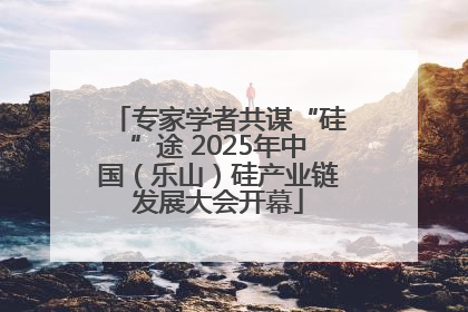 专家学者共谋“硅”途 2025年中国（乐山）硅产业链发展大会开幕